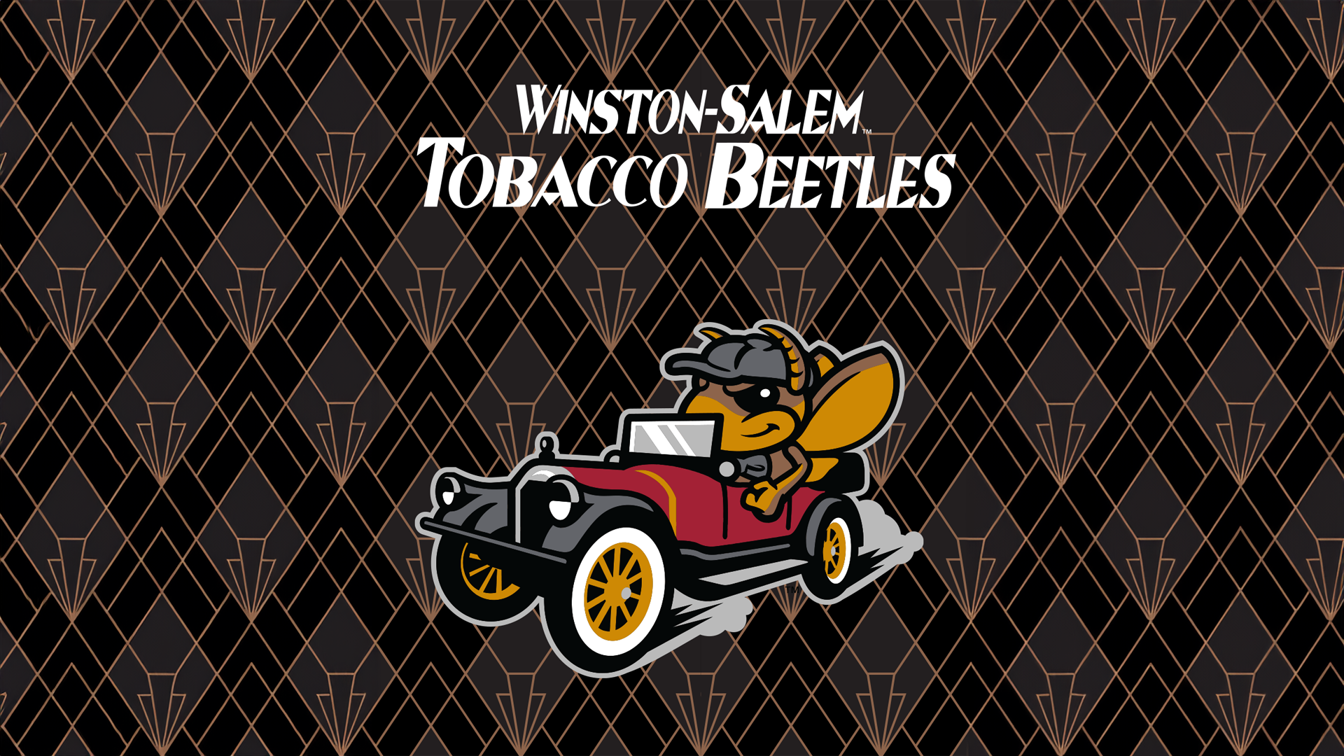 Meet the Tobacco Beetles