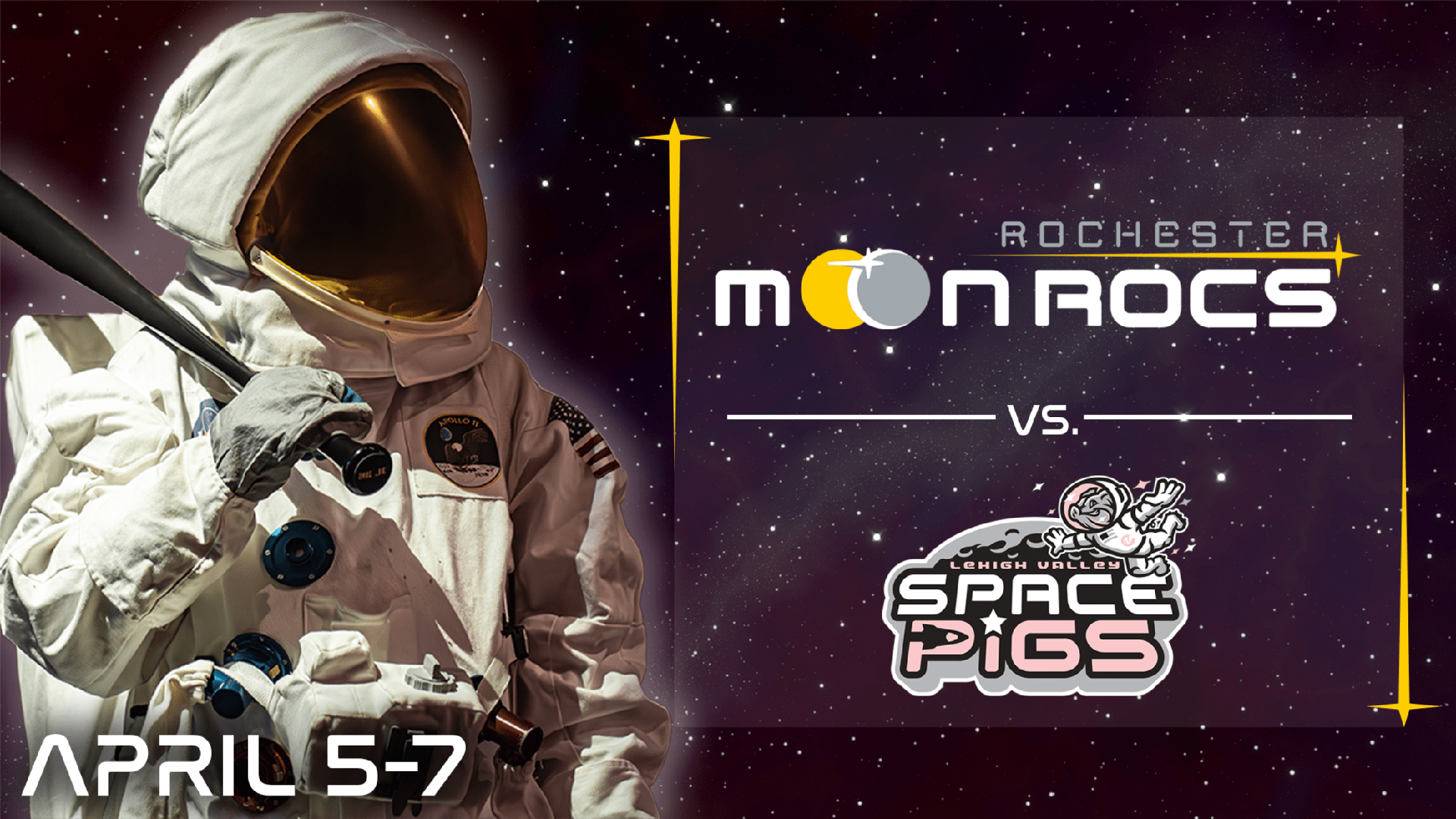 Moon Rocs vs. Space Pigs
